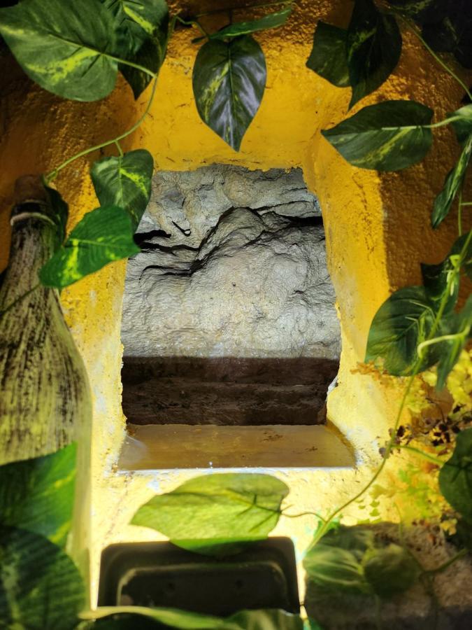 Casita Zamudio Apartment Setenil De Las Bodegas ภายนอก รูปภาพ